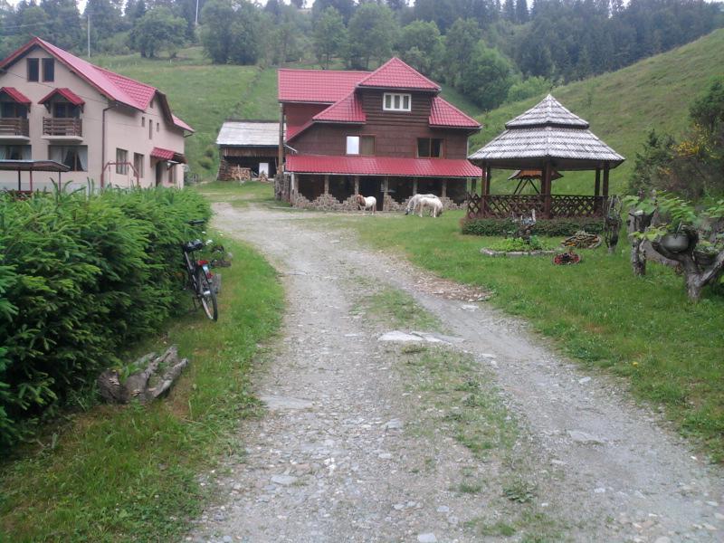 Pensiunea Sofy Arieşeni Esterno foto